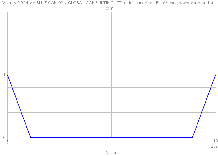 Visitas 2024 de BLUE CANYON GLOBAL CONSULTING LTD (Islas Vírgenes Británicas) 
