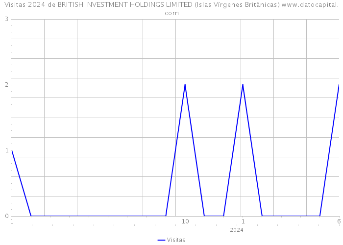 Visitas 2024 de BRITISH INVESTMENT HOLDINGS LIMITED (Islas Vírgenes Británicas) 