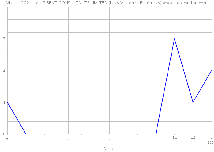 Visitas 2024 de UP BEAT CONSULTANTS LIMITED (Islas Vírgenes Británicas) 