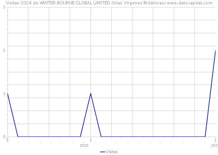 Visitas 2024 de WINTER BOURNE GLOBAL LIMITED (Islas Vírgenes Británicas) 