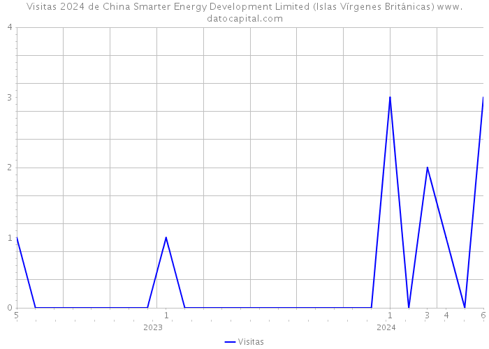 Visitas 2024 de China Smarter Energy Development Limited (Islas Vírgenes Británicas) 