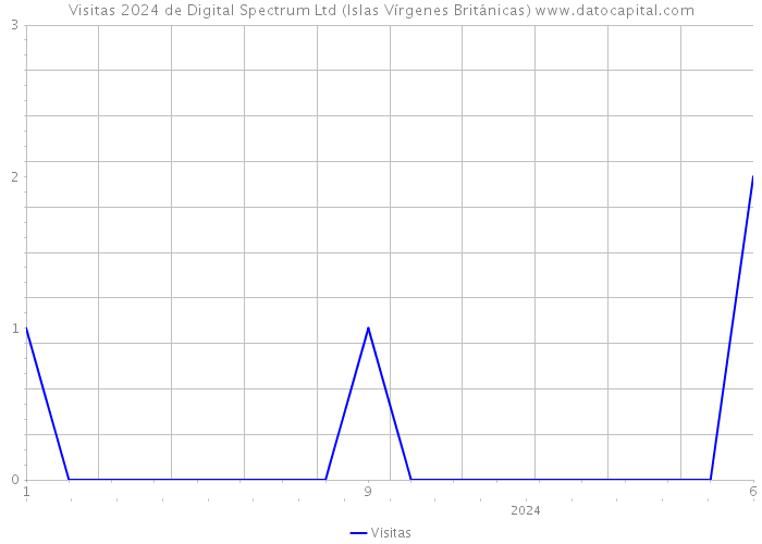 Visitas 2024 de Digital Spectrum Ltd (Islas Vírgenes Británicas) 