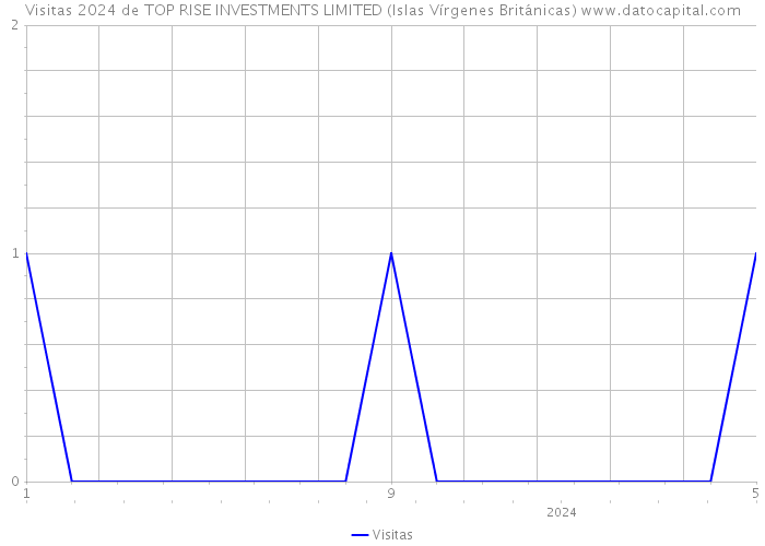 Visitas 2024 de TOP RISE INVESTMENTS LIMITED (Islas Vírgenes Británicas) 