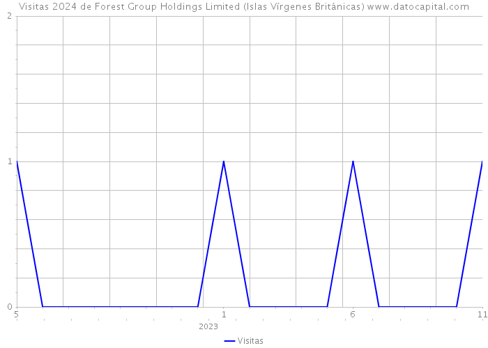 Visitas 2024 de Forest Group Holdings Limited (Islas Vírgenes Británicas) 