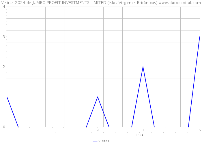 Visitas 2024 de JUMBO PROFIT INVESTMENTS LIMITED (Islas Vírgenes Británicas) 