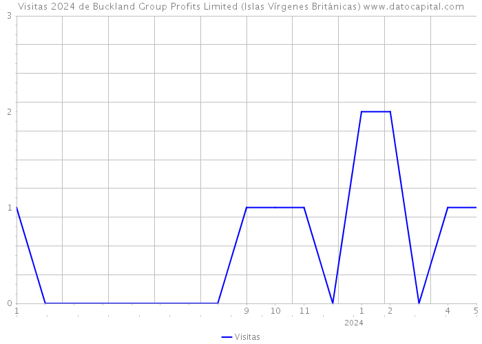 Visitas 2024 de Buckland Group Profits Limited (Islas Vírgenes Británicas) 