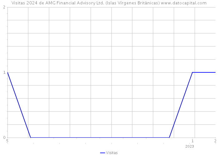 Visitas 2024 de AMG Financial Advisory Ltd. (Islas Vírgenes Británicas) 