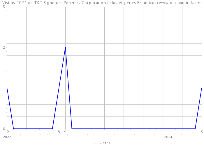 Visitas 2024 de T&T Signature Partners Corporation (Islas Vírgenes Británicas) 