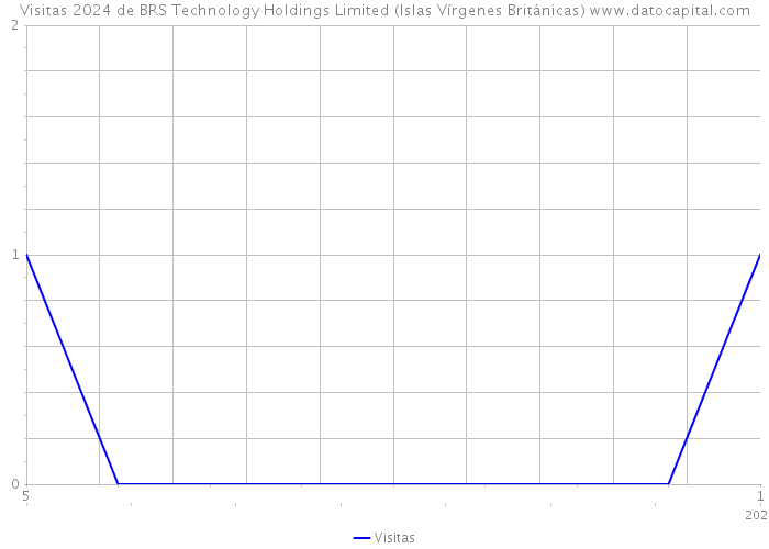 Visitas 2024 de BRS Technology Holdings Limited (Islas Vírgenes Británicas) 
