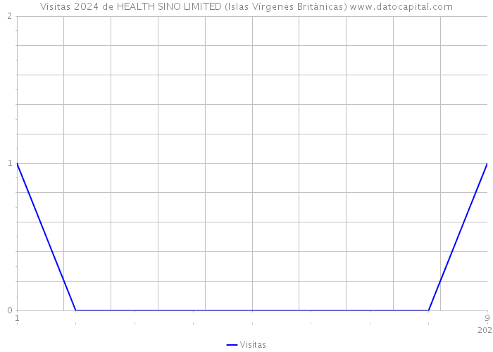 Visitas 2024 de HEALTH SINO LIMITED (Islas Vírgenes Británicas) 