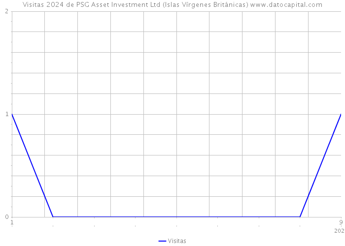 Visitas 2024 de PSG Asset Investment Ltd (Islas Vírgenes Británicas) 
