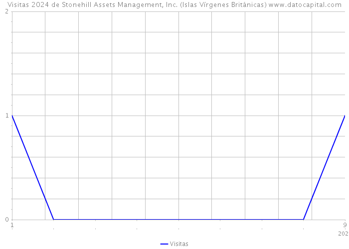Visitas 2024 de Stonehill Assets Management, Inc. (Islas Vírgenes Británicas) 