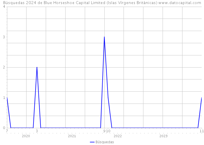 Búsquedas 2024 de Blue Horseshoe Capital Limited (Islas Vírgenes Británicas) 