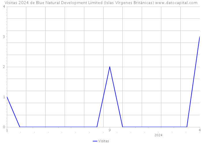 Visitas 2024 de Blue Natural Development Limited (Islas Vírgenes Británicas) 