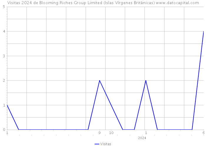 Visitas 2024 de Blooming Riches Group Limited (Islas Vírgenes Británicas) 