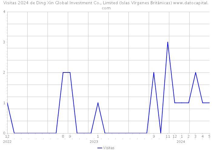 Visitas 2024 de Ding Xin Global Investment Co., Limited (Islas Vírgenes Británicas) 