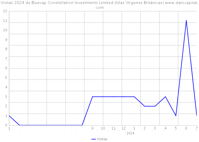 Visitas 2024 de Bluecap Constellation Investments Limited (Islas Vírgenes Británicas) 