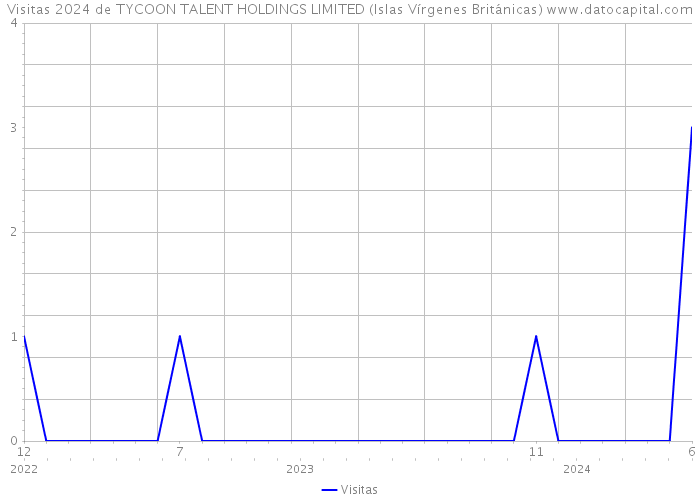 Visitas 2024 de TYCOON TALENT HOLDINGS LIMITED (Islas Vírgenes Británicas) 