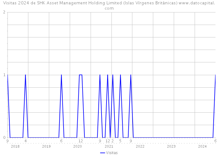 Visitas 2024 de SHK Asset Management Holding Limited (Islas Vírgenes Británicas) 