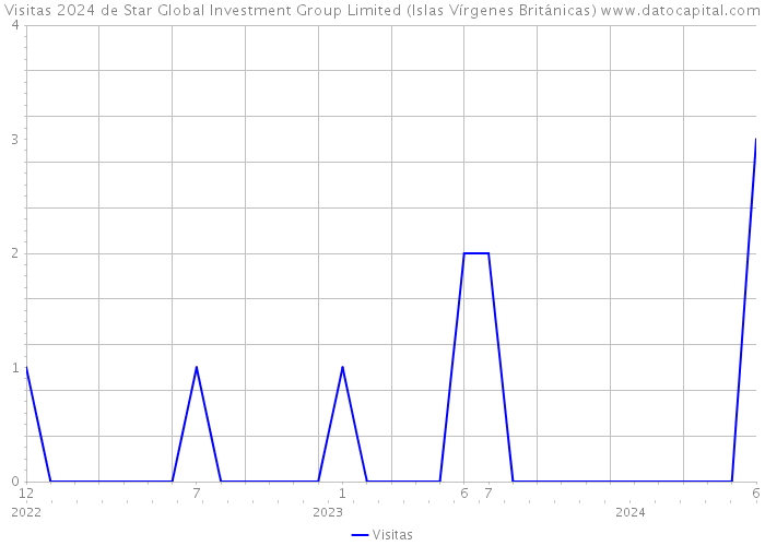 Visitas 2024 de Star Global Investment Group Limited (Islas Vírgenes Británicas) 