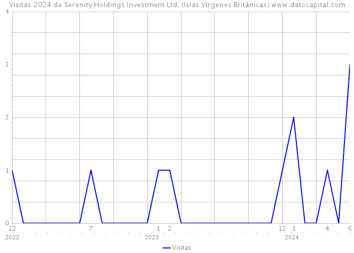 Visitas 2024 de Serenity Holdings Investment Ltd. (Islas Vírgenes Británicas) 