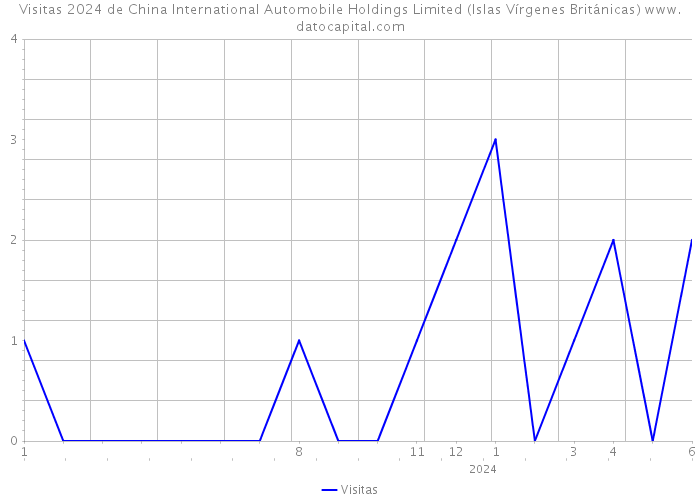 Visitas 2024 de China International Automobile Holdings Limited (Islas Vírgenes Británicas) 