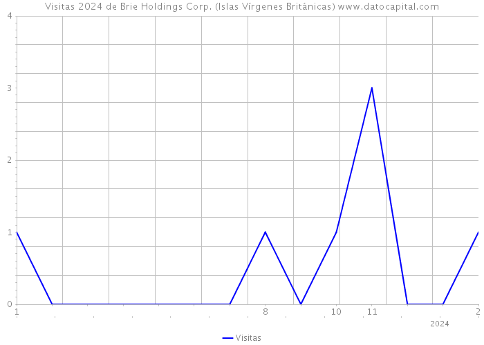 Visitas 2024 de Brie Holdings Corp. (Islas Vírgenes Británicas) 