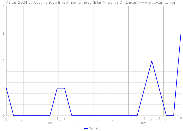 Visitas 2024 de Cyber Bridge Investment Limited (Islas Vírgenes Británicas) 