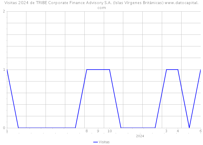 Visitas 2024 de TRIBE Corporate Finance Advisory S.A. (Islas Vírgenes Británicas) 