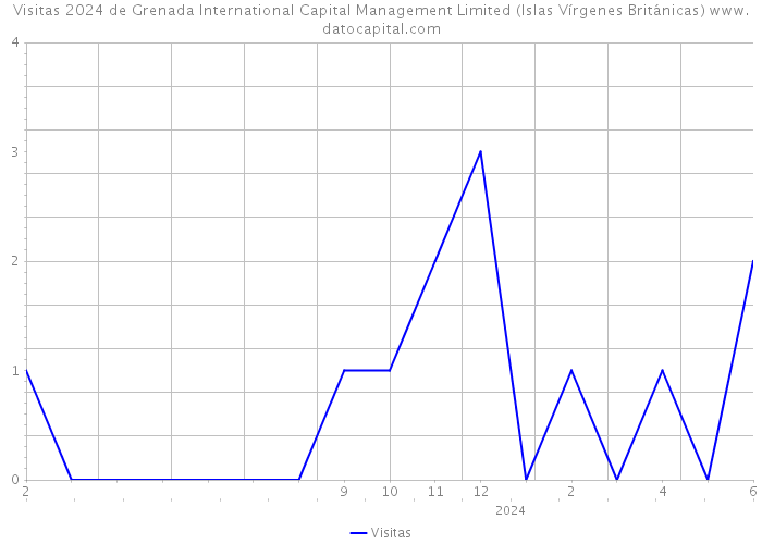 Visitas 2024 de Grenada International Capital Management Limited (Islas Vírgenes Británicas) 