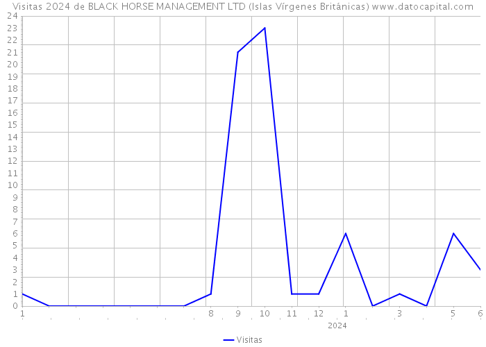 Visitas 2024 de BLACK HORSE MANAGEMENT LTD (Islas Vírgenes Británicas) 