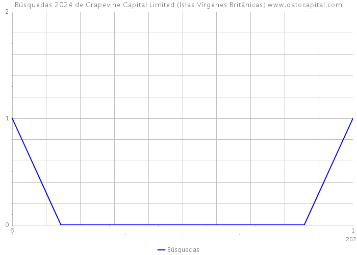 Búsquedas 2024 de Grapevine Capital Limited (Islas Vírgenes Británicas) 
