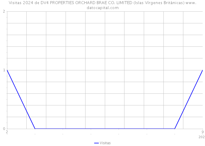 Visitas 2024 de DV4 PROPERTIES ORCHARD BRAE CO. LIMITED (Islas Vírgenes Británicas) 
