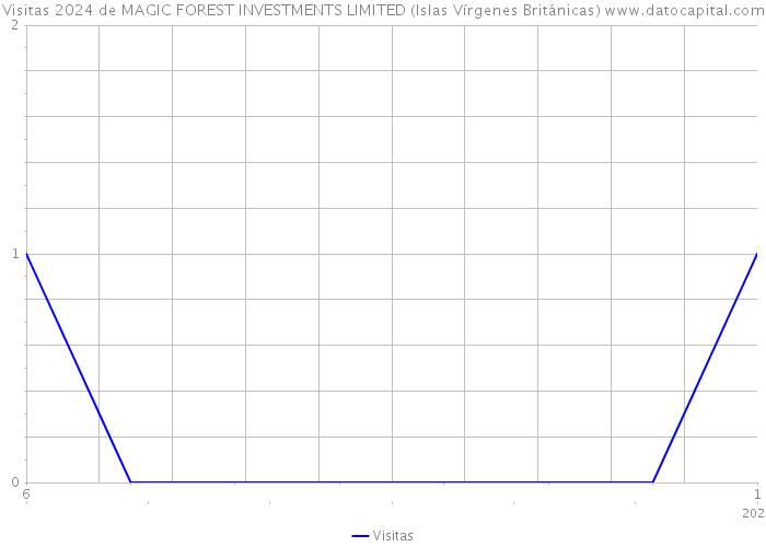 Visitas 2024 de MAGIC FOREST INVESTMENTS LIMITED (Islas Vírgenes Británicas) 