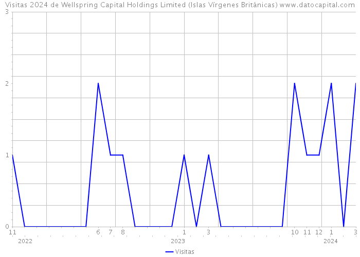 Visitas 2024 de Wellspring Capital Holdings Limited (Islas Vírgenes Británicas) 