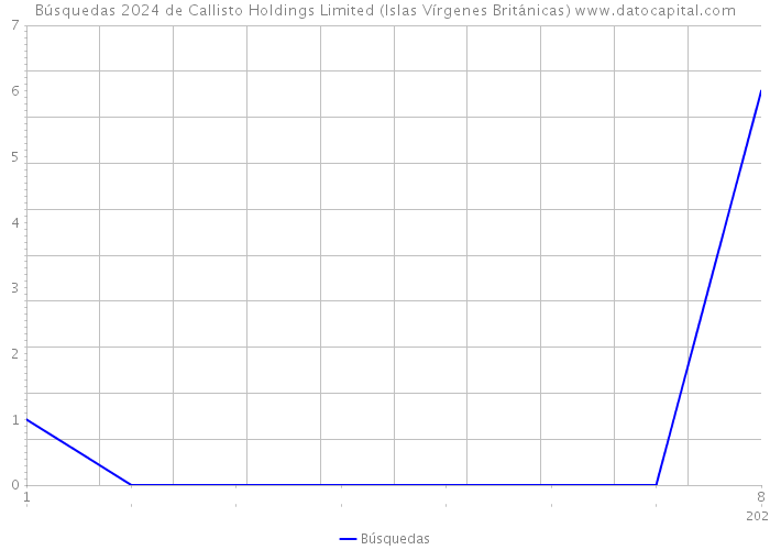 Búsquedas 2024 de Callisto Holdings Limited (Islas Vírgenes Británicas) 
