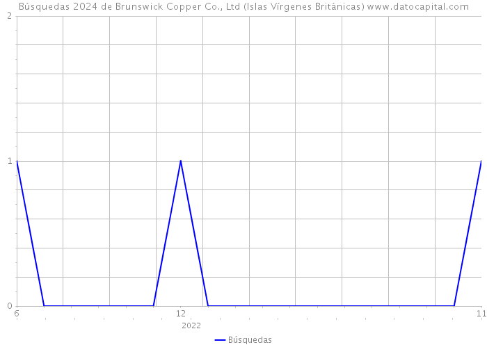 Búsquedas 2024 de Brunswick Copper Co., Ltd (Islas Vírgenes Británicas) 