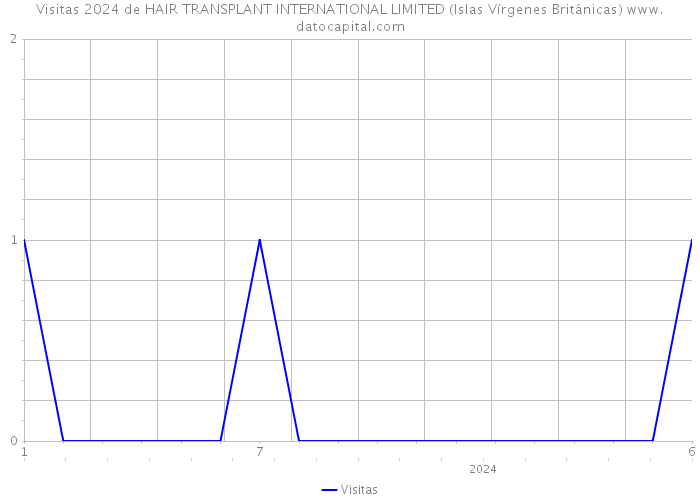 Visitas 2024 de HAIR TRANSPLANT INTERNATIONAL LIMITED (Islas Vírgenes Británicas) 