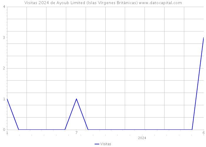Visitas 2024 de Ayoub Limited (Islas Vírgenes Británicas) 