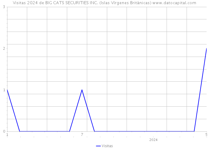 Visitas 2024 de BIG CATS SECURITIES INC. (Islas Vírgenes Británicas) 