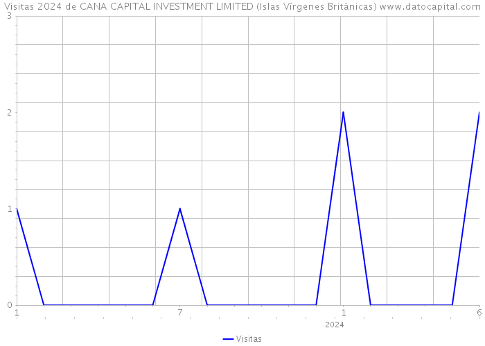 Visitas 2024 de CANA CAPITAL INVESTMENT LIMITED (Islas Vírgenes Británicas) 