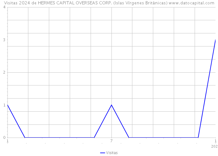 Visitas 2024 de HERMES CAPITAL OVERSEAS CORP. (Islas Vírgenes Británicas) 