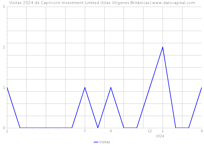 Visitas 2024 de Capricorn Investment Limited (Islas Vírgenes Británicas) 