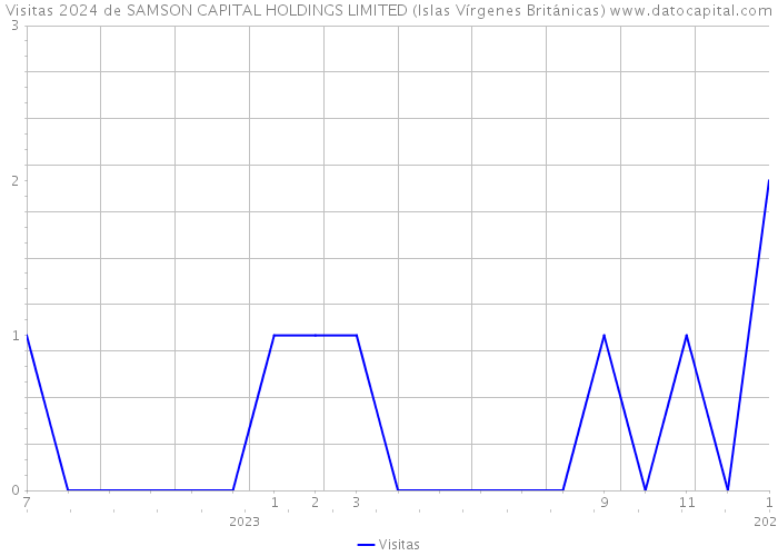 Visitas 2024 de SAMSON CAPITAL HOLDINGS LIMITED (Islas Vírgenes Británicas) 