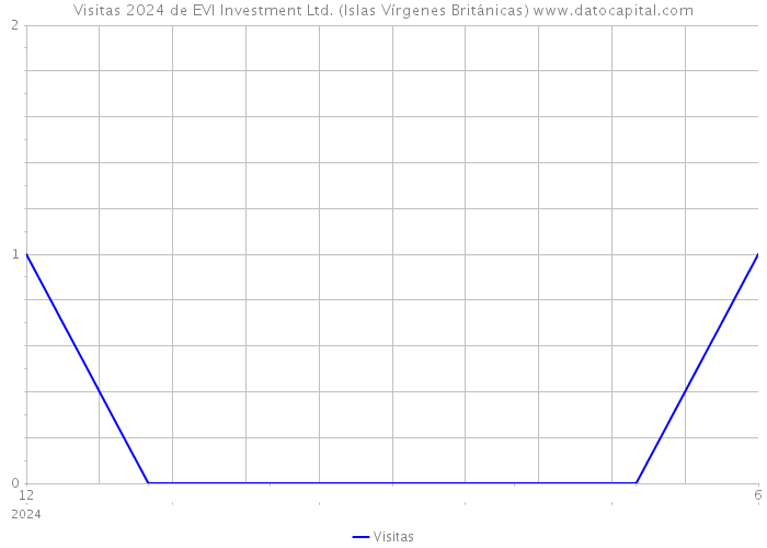 Visitas 2024 de EVI Investment Ltd. (Islas Vírgenes Británicas) 