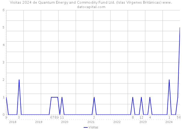 Visitas 2024 de Quantum Energy and Commodity Fund Ltd. (Islas Vírgenes Británicas) 