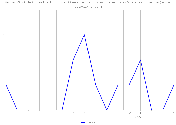 Visitas 2024 de China Electric Power Operation Company Limited (Islas Vírgenes Británicas) 