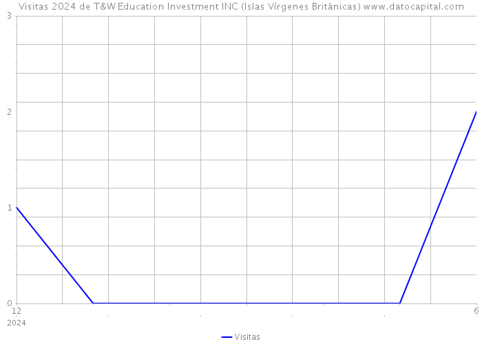 Visitas 2024 de T&W Education Investment INC (Islas Vírgenes Británicas) 