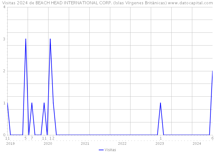Visitas 2024 de BEACH HEAD INTERNATIONAL CORP. (Islas Vírgenes Británicas) 