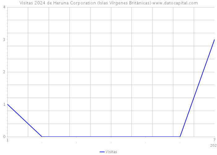 Visitas 2024 de Haruna Corporation (Islas Vírgenes Británicas) 
